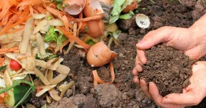 Compostable Packaging with Green Leaves