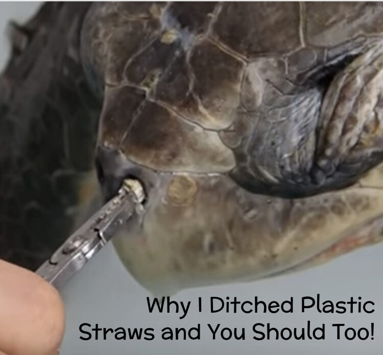 Image of a person holding a reusable metal straw